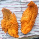 Lake Trout / Catfish